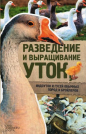 Разведение и выращивание уток, индоуток и гусей обычных пород и бройлеров