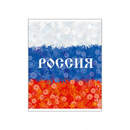 Тетрадь 48л клетка фольг Россия: герб,триколор ассорти (5диз) ПОЛИГРАФ ПРИНТ 9202/5