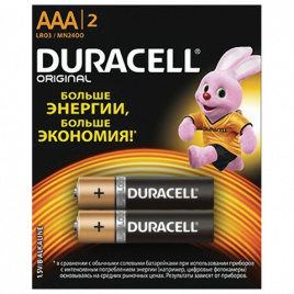 Батарейки DURACELL Basic, AAA (LR03, 24А), алкалиновые, КОМПЛЕКТ 2 шт, в блистере (отрывной блок)