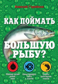 Как поймать большую рыбу?