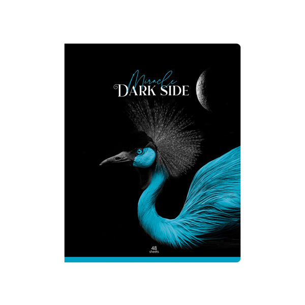 Тетрадь 48л клетка выб лак Dark miracle ассорти (4диз) 60г/м2 BG Т5ск48_вл 11064 фото 1