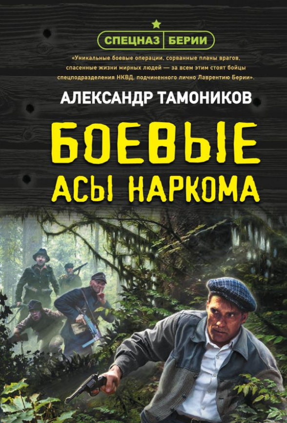 Боевые асы наркома фото 1