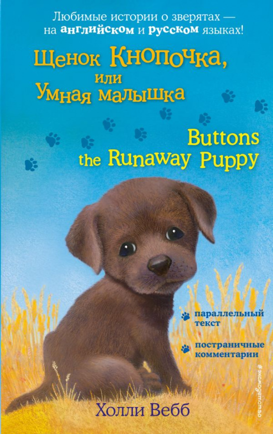 Щенок Кнопочка, или Умная малышка = Buttons the Runaway Puppy фото 1