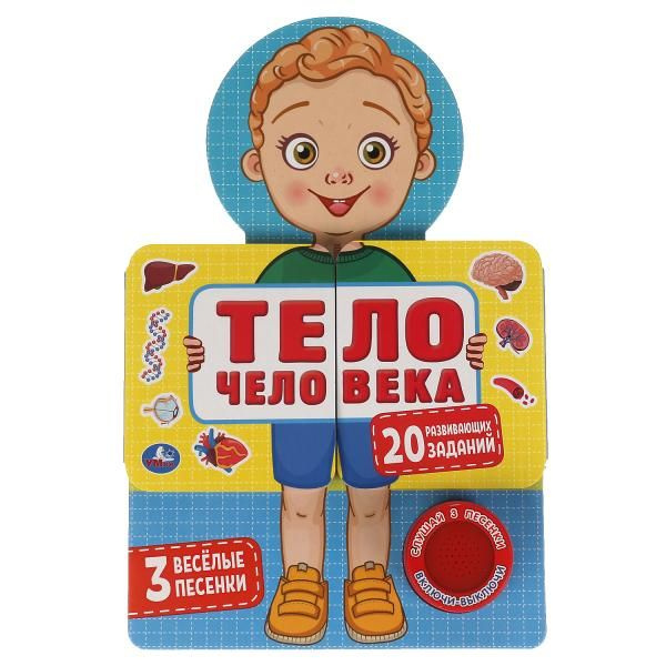 Тело человека (звук. модуль, распашные страницы) 140х210мм 10стр Умка в кор.30шт фото 1