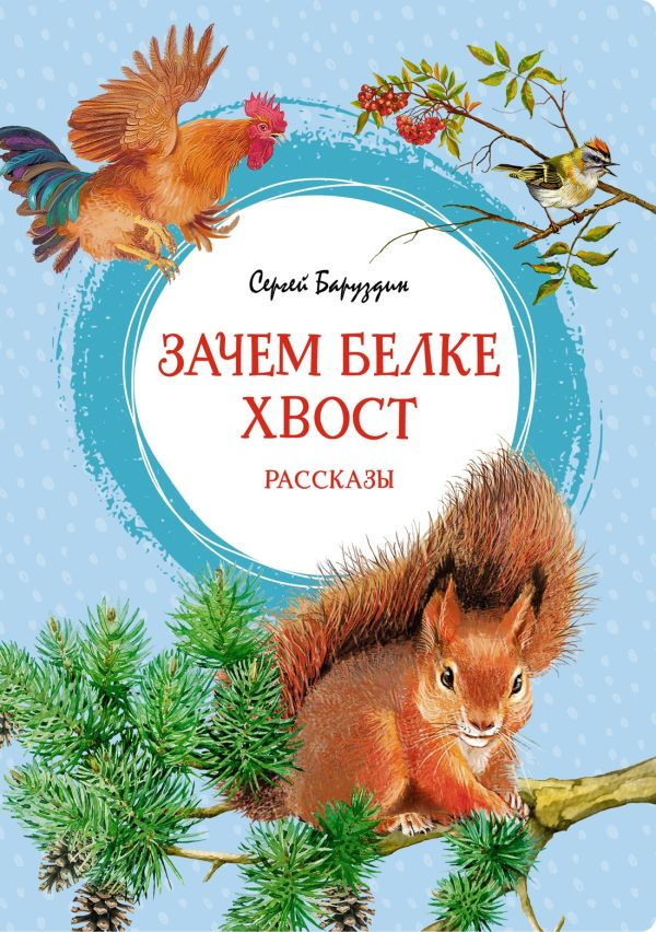 Зачем белке хвост. Рассказы фото 1