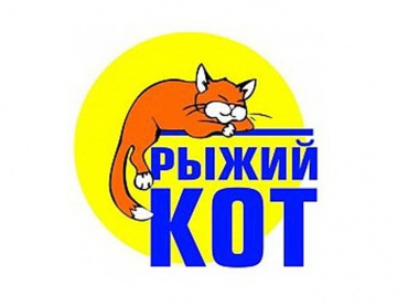 Рыжий кот